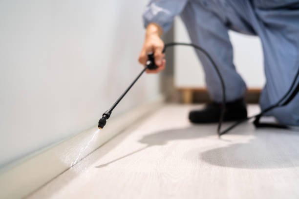 Licensed Emergency Pest Control service in Jerauld County County, SD - Nex Pest Control