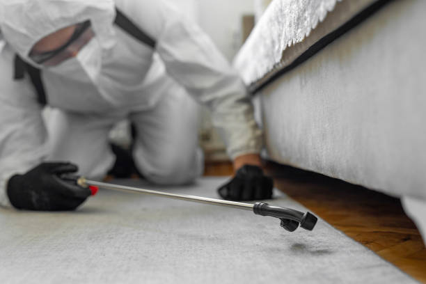 Professional Emergency Pest Control technician working in Jerauld County County, SD